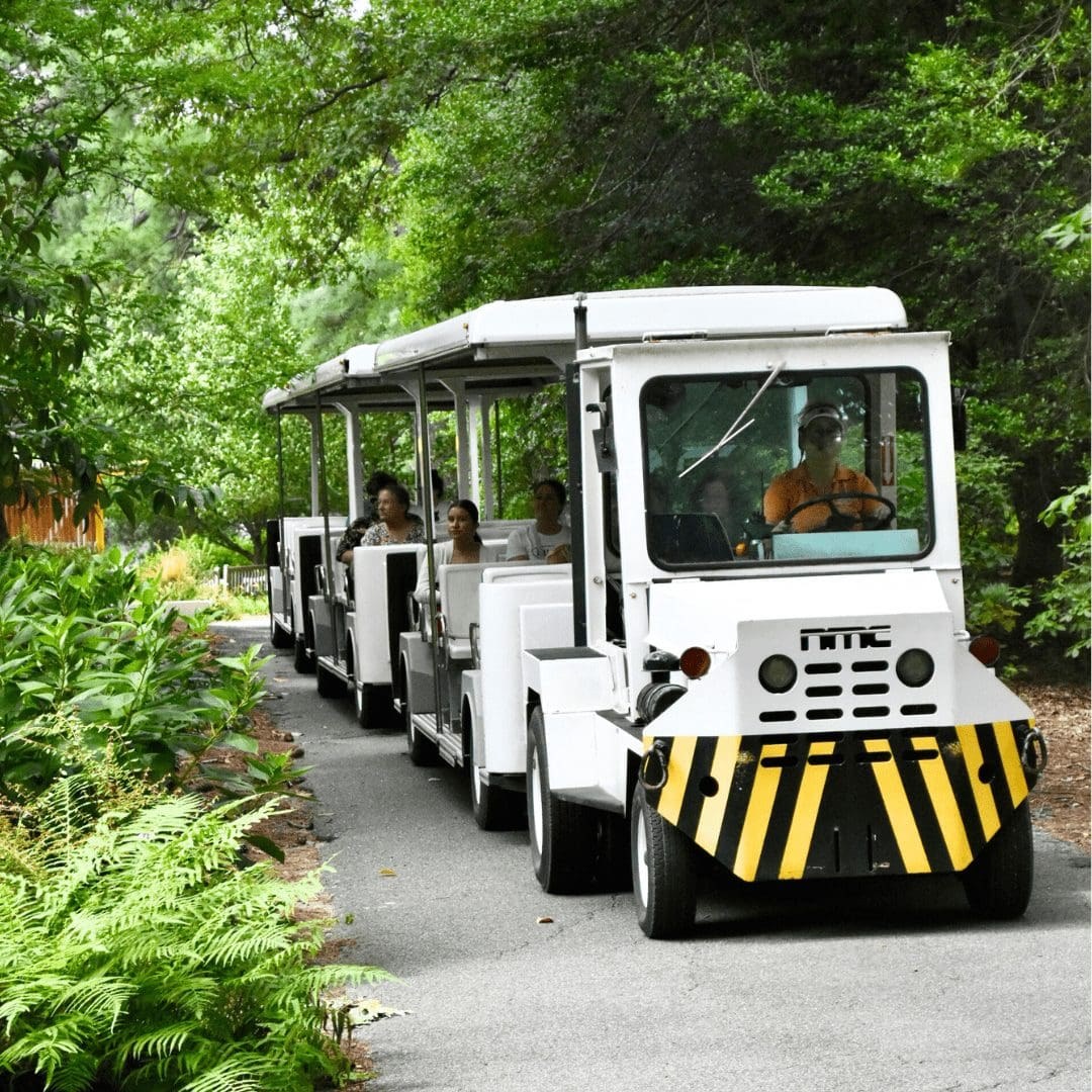 Norfolk Botanical Garden: Boat & Tram Tour of 175 Acres