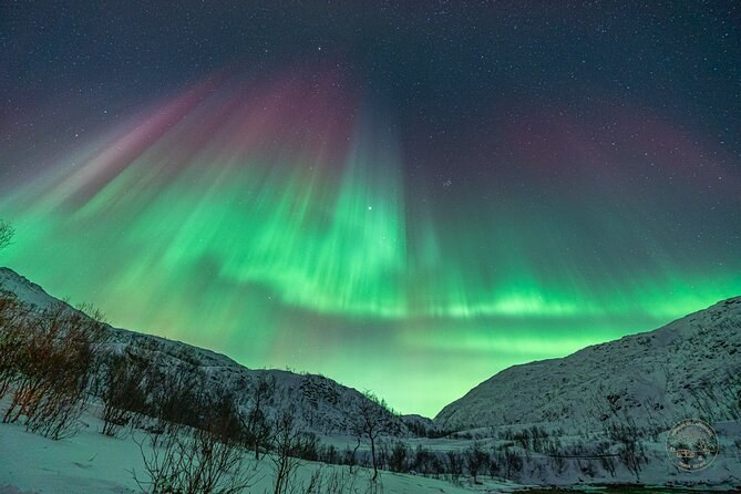 Private Northern Lights Chase — Arctic Wilderness Hunt
