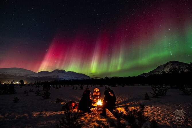 Private Northern Lights Chase: Expert-Led Arctic Night Safari
