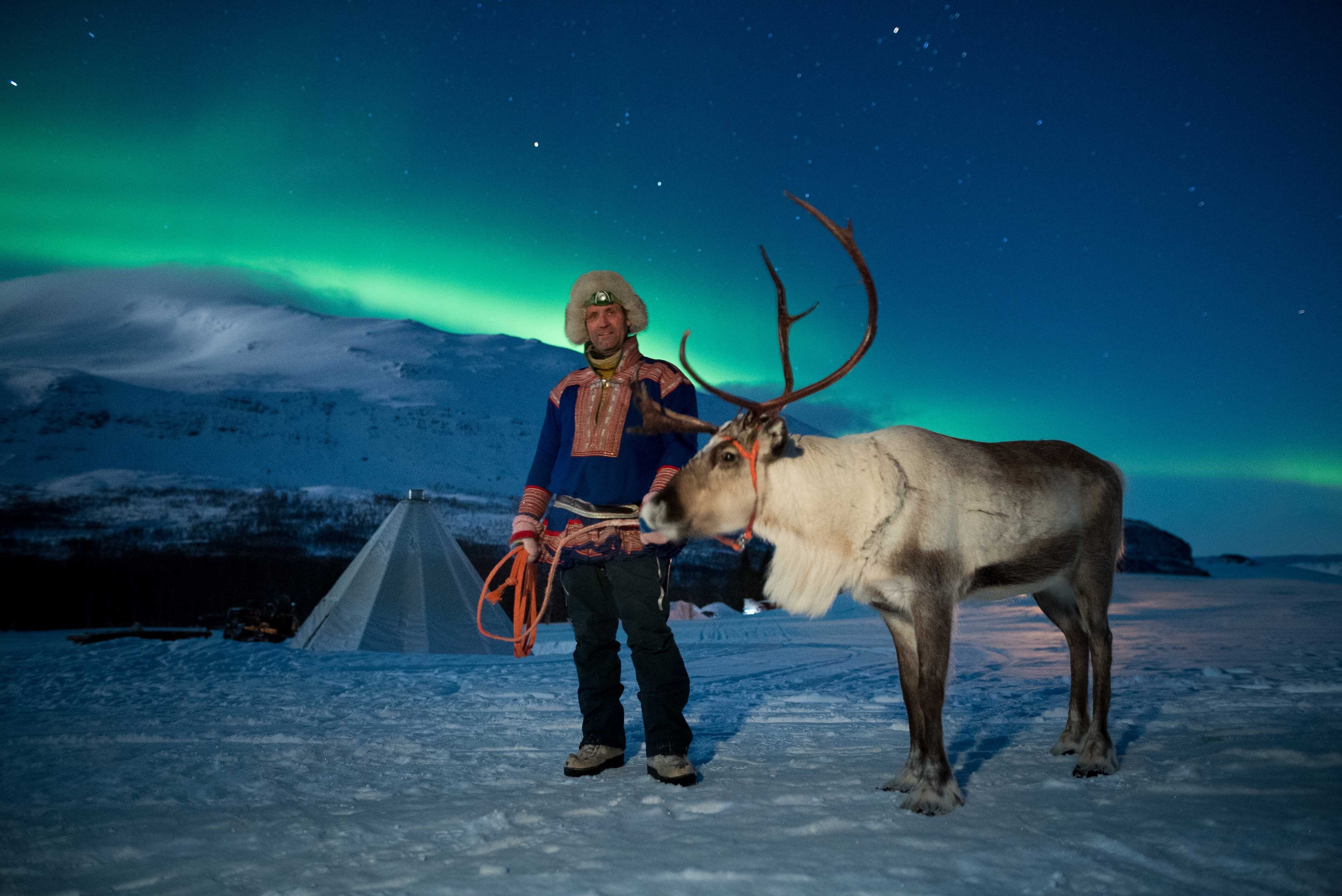 Reindeer Camp & Sami Cultural Immersion with Arctic Picnic