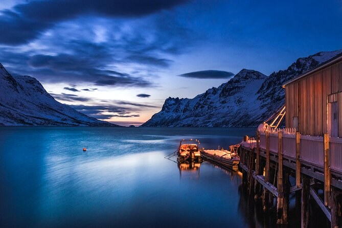 Fjords & Sommarøy Islands: Private Arctic Island Boat Tour