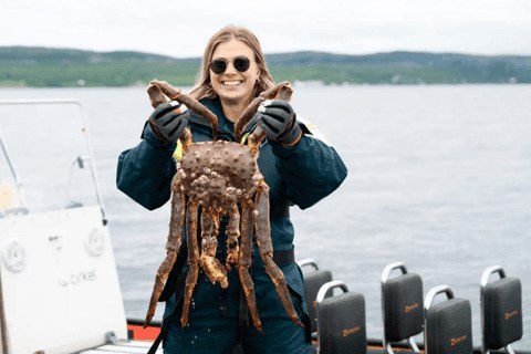 Arctic King Crab Safari: Deep-Sea Fishing on the Barents Sea
