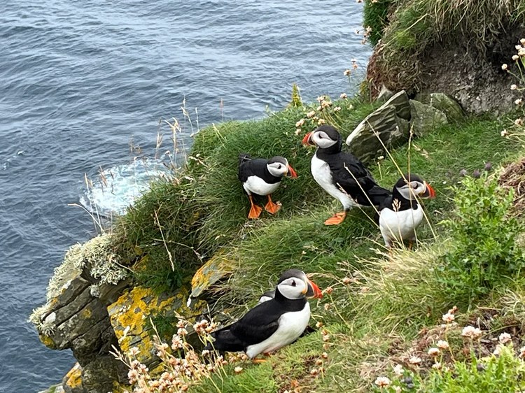Private Expert-Led Tour of Lerwick & Shetland with a Certified Blue Badge Guide