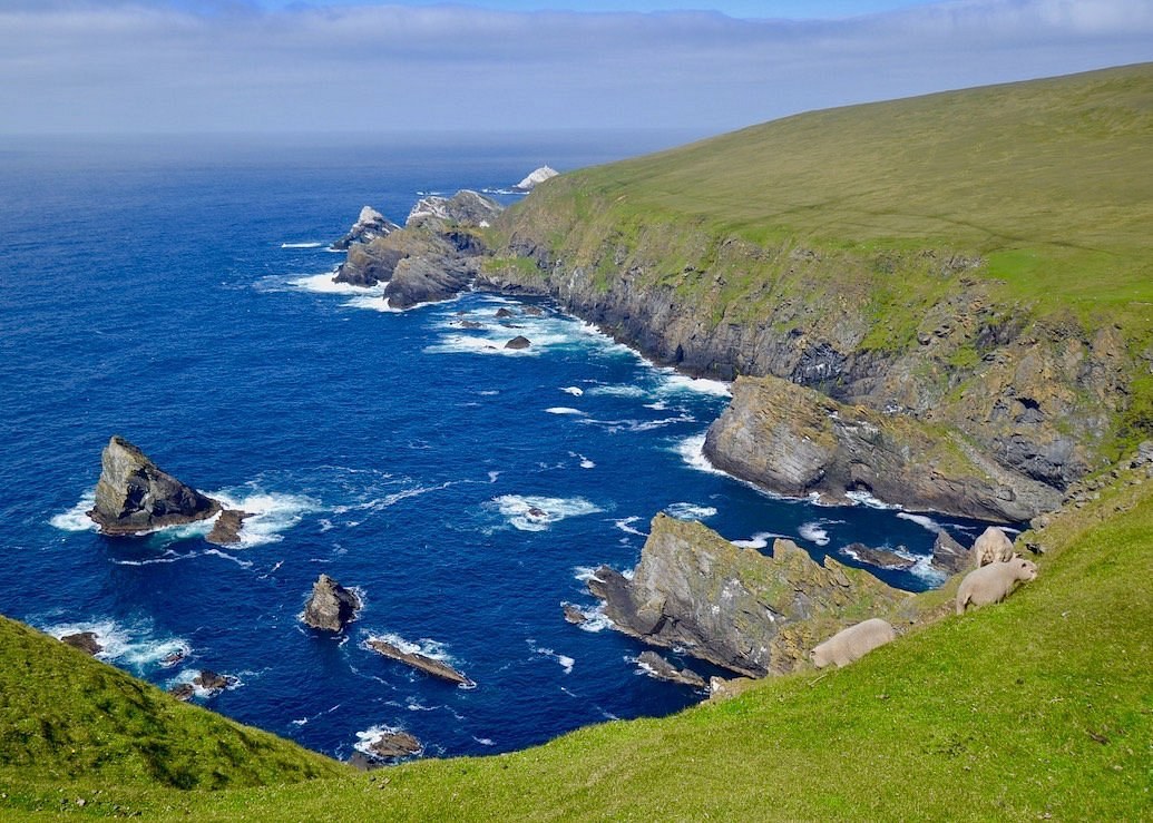 Hermaness National Nature Reserve: Britain's Most Dramatic Seabird Clifftop