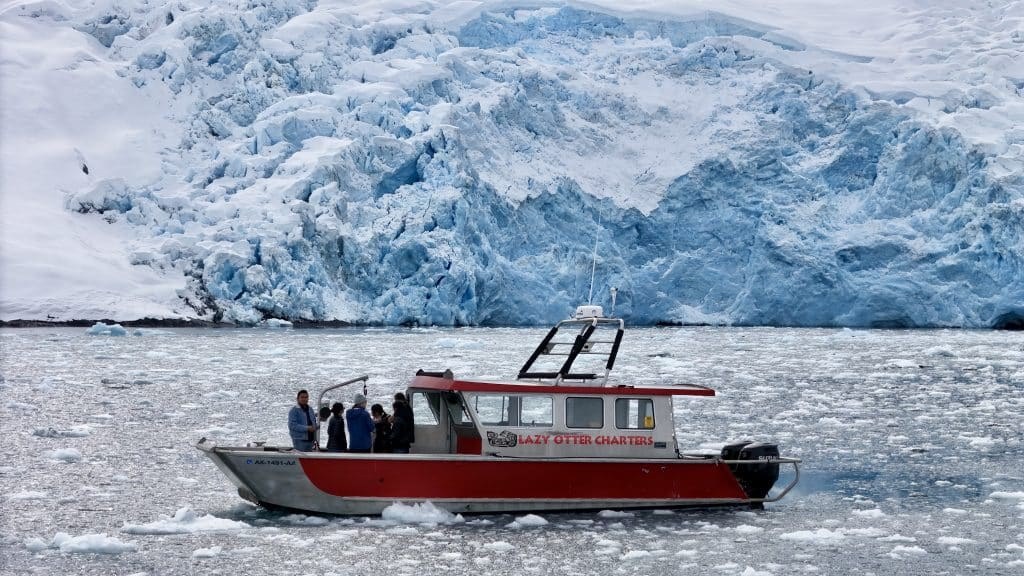 Lazy Otter Private Glacier & Wildlife Boat Charter