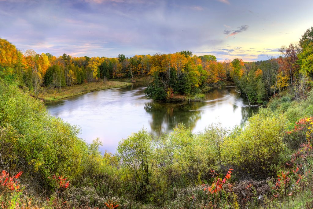 Huron-Manistee National Forest: Manistee River Trail Hike