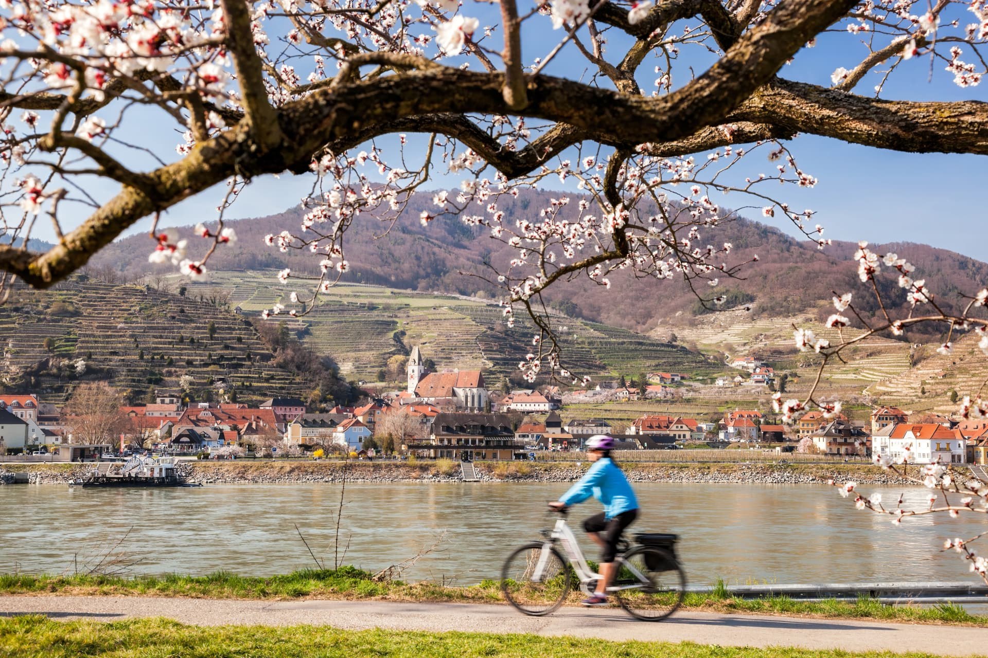 Danube Cycle Path: E-Bike Journey Through the Wachau UNESCO Landscape