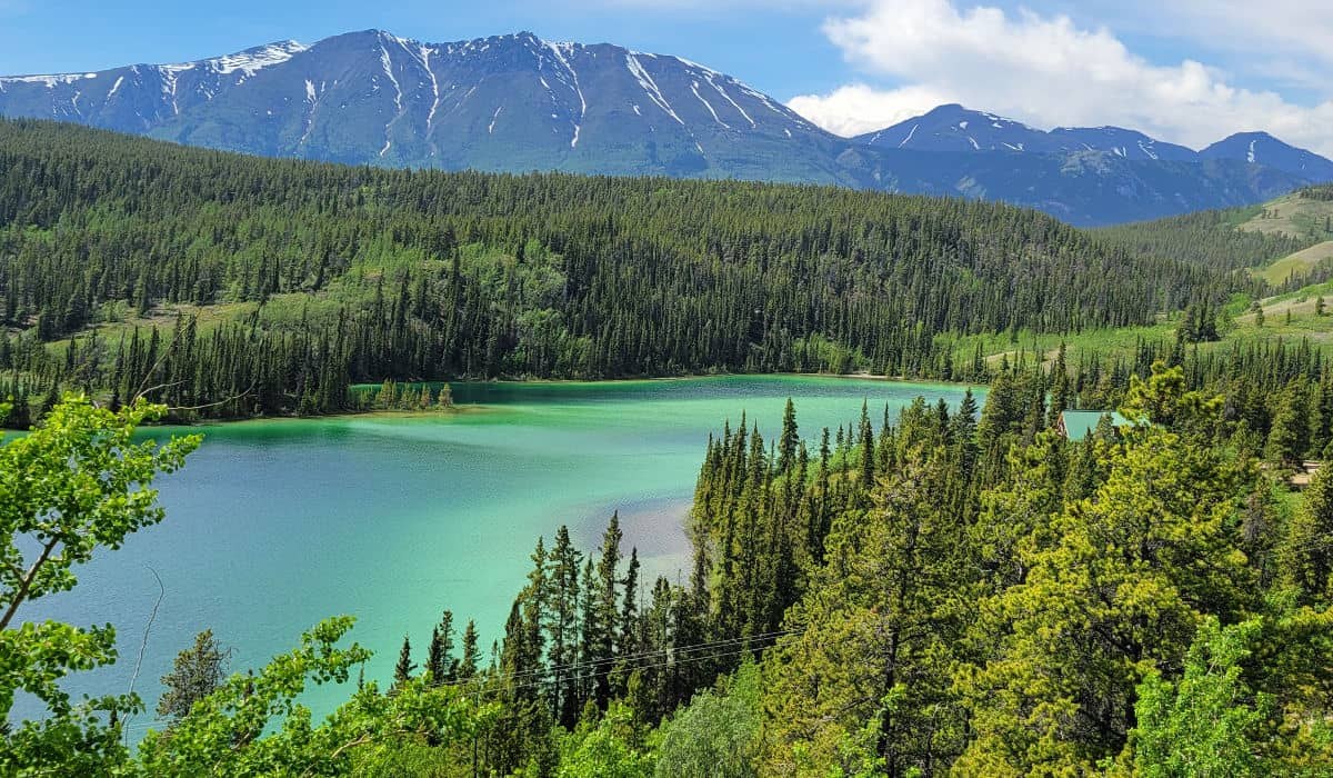 Yukon Day to Emerald Lake & Carcross (into Canada)