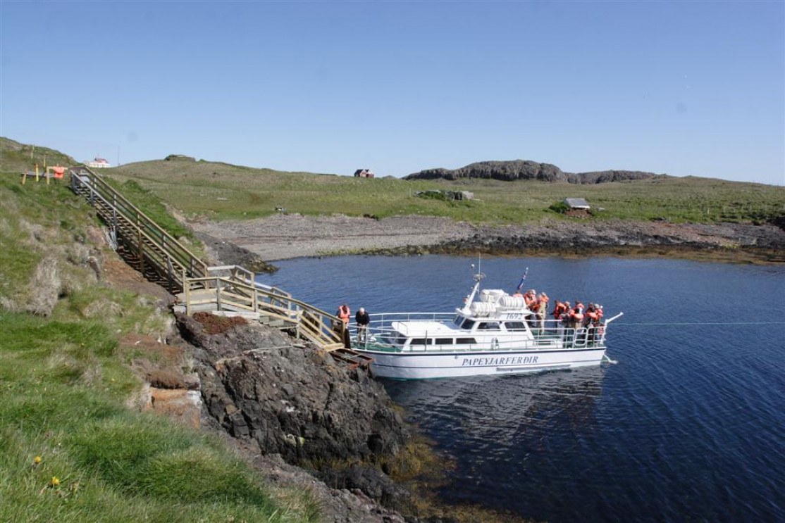 Papey Island Puffin & Seal Wildlife Boat Expedition