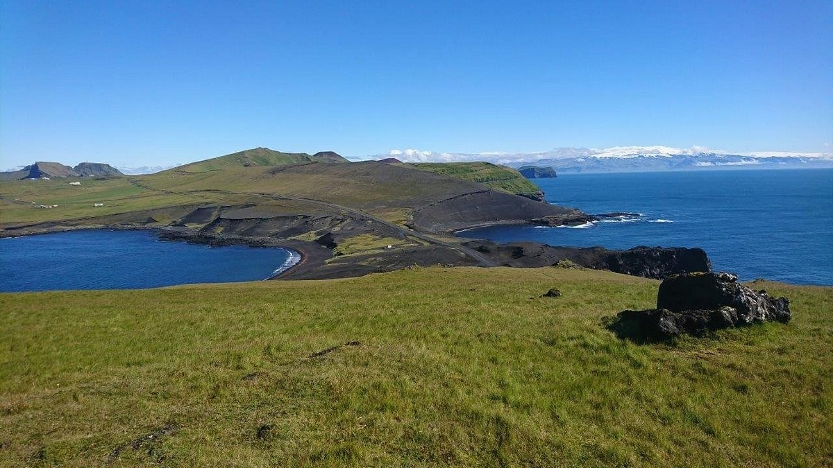 Stórhöfði (Great Cape): Iceland's Premier Puffin Headland
