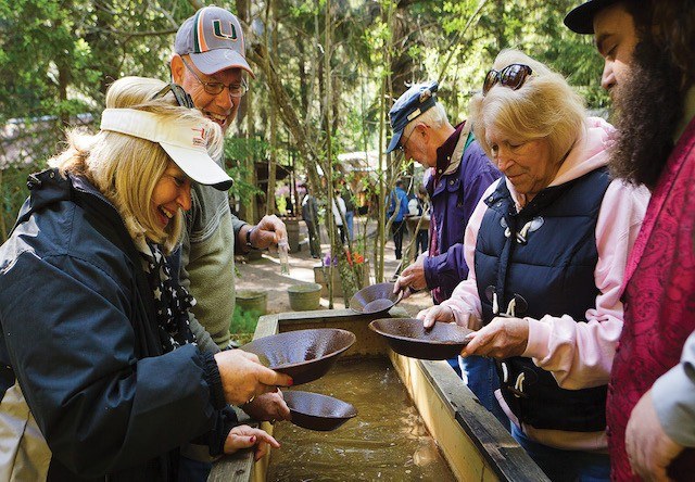 Liarsville Gold Rush Camp, Gold Panning & Salmon Bake