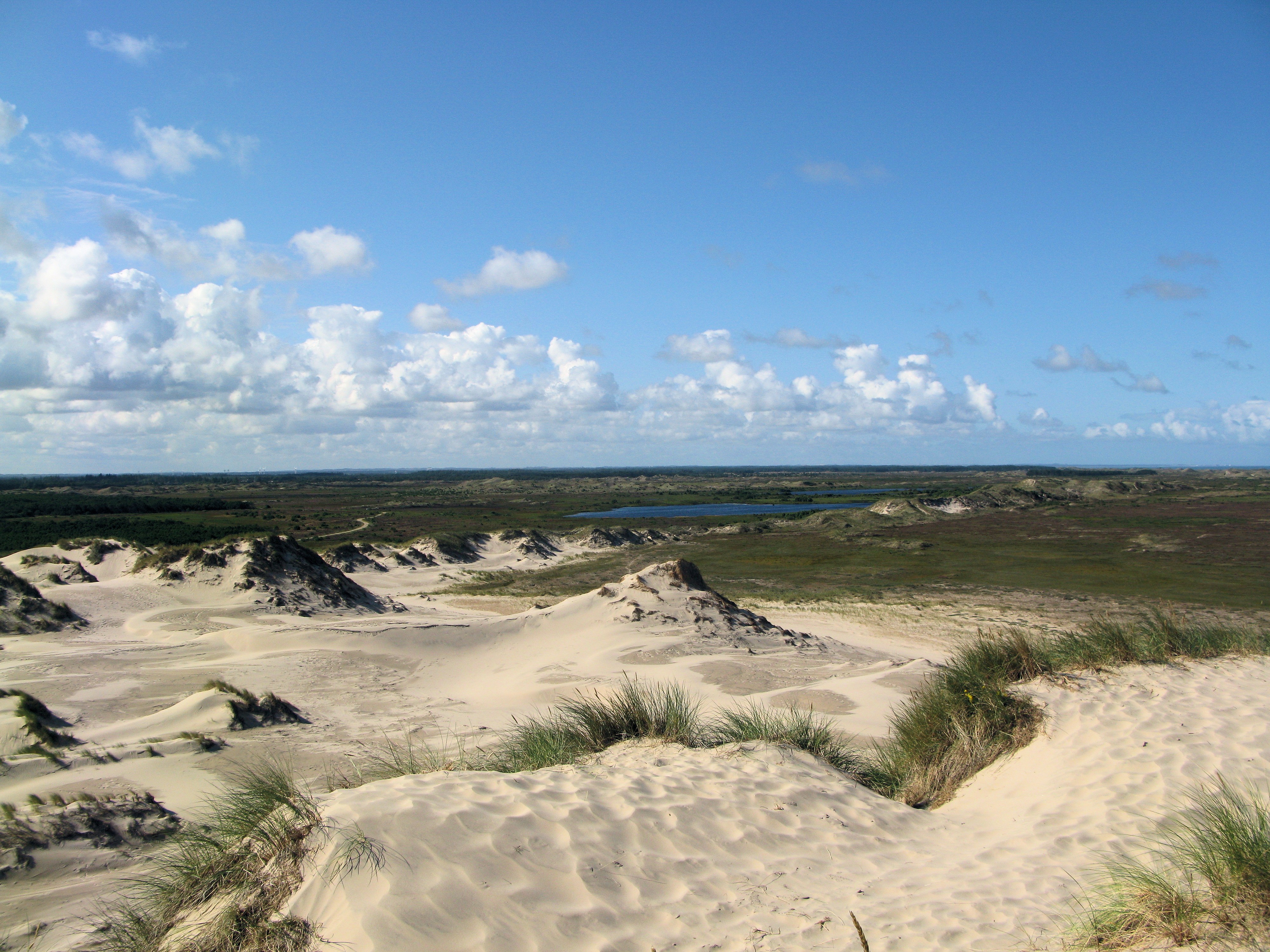 Råbjerg Mile: Denmark's Migrating Mega-Dune by Private 4x4