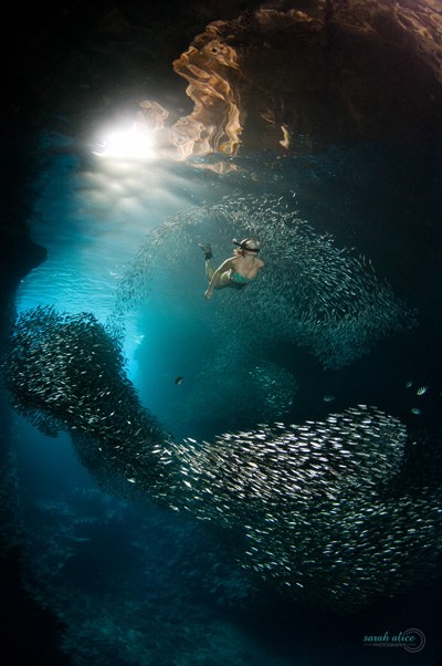 Swallows Cave & Mariners Cave: Twin Sea-Cave Snorkel
