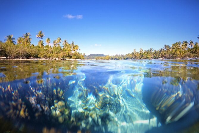 Authentic Polynesian Experience: Taha'a Vanilla, Coral, & Motu Day