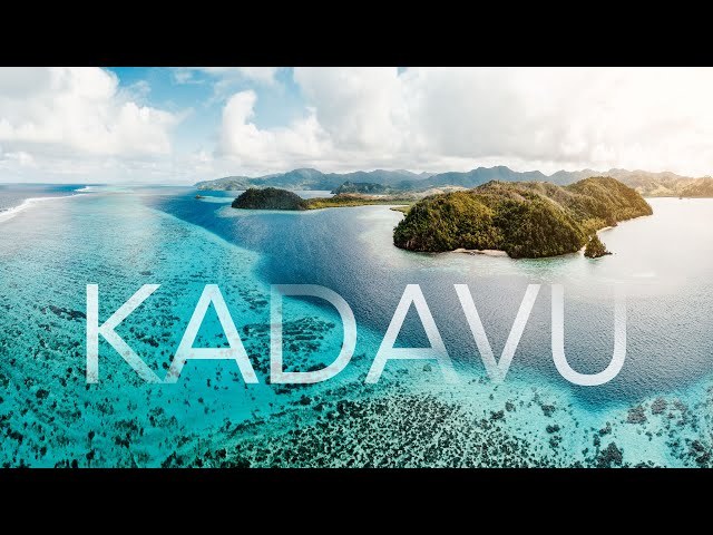 Great Astrolabe Reef: Private Guided Scuba Diving