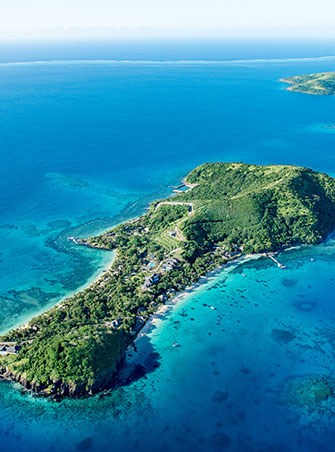 Kadavu Highland Rainforest Trek & Rare Bird Watching