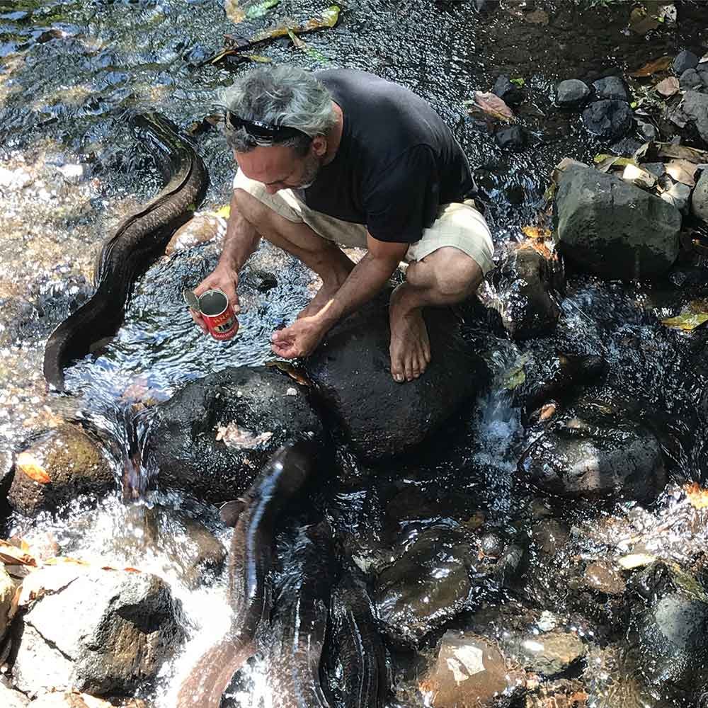 Sacred Blue Eels of Faie & Maeva Archaeological Walk
