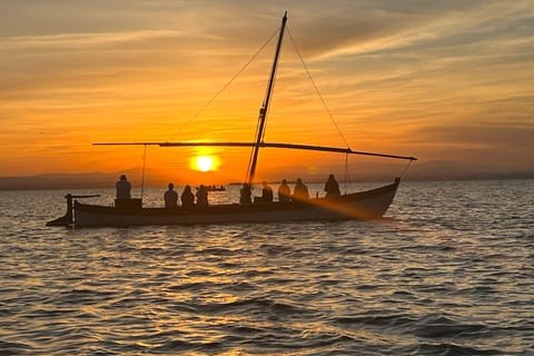 Albufera Lagoon Boat Ride from El Palmar, Where Paella Was Born