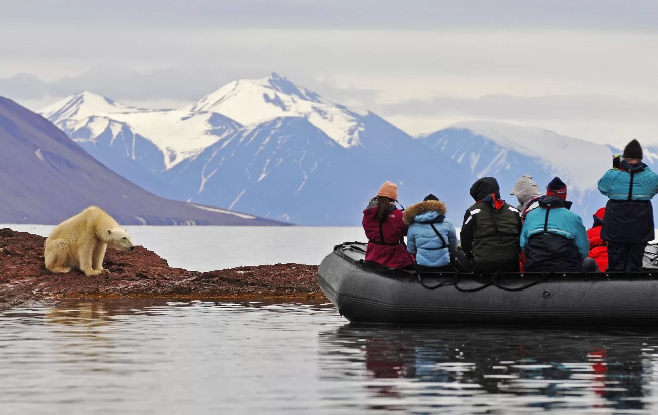 Polar Bear & Wildlife Safari by Zodiac into the Fjords