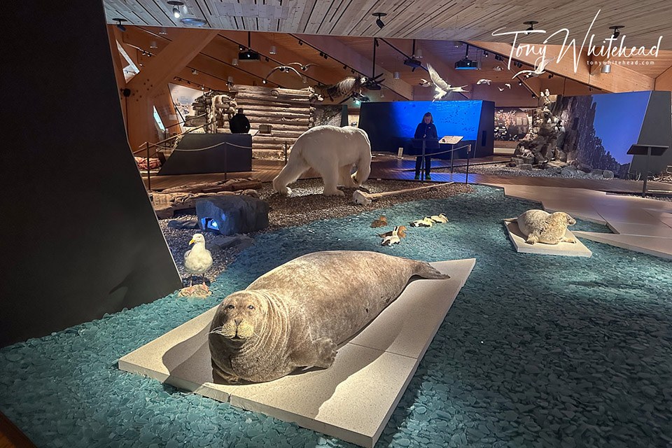 Svalbard Museum: Deep-Dive Arctic History with Expert Curator