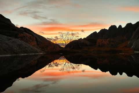 Puffin Watching & Midnight Sun Private Boat Tour from Narvik