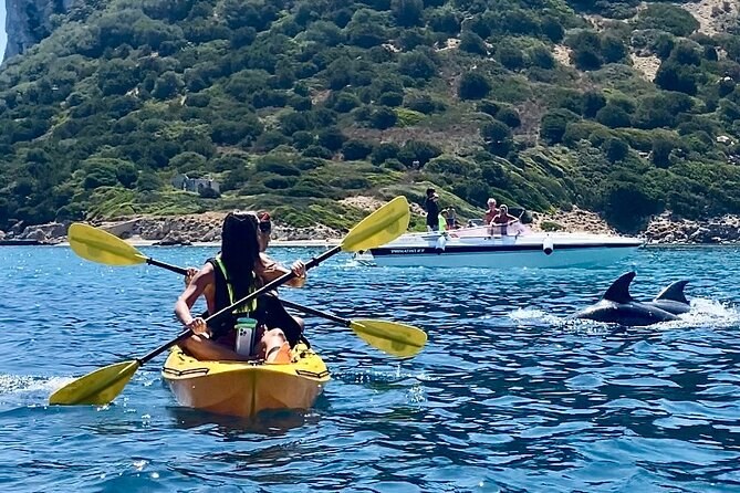 Kayak & Snorkel Safari: Gulf of Oranges with Dolphin Spotting