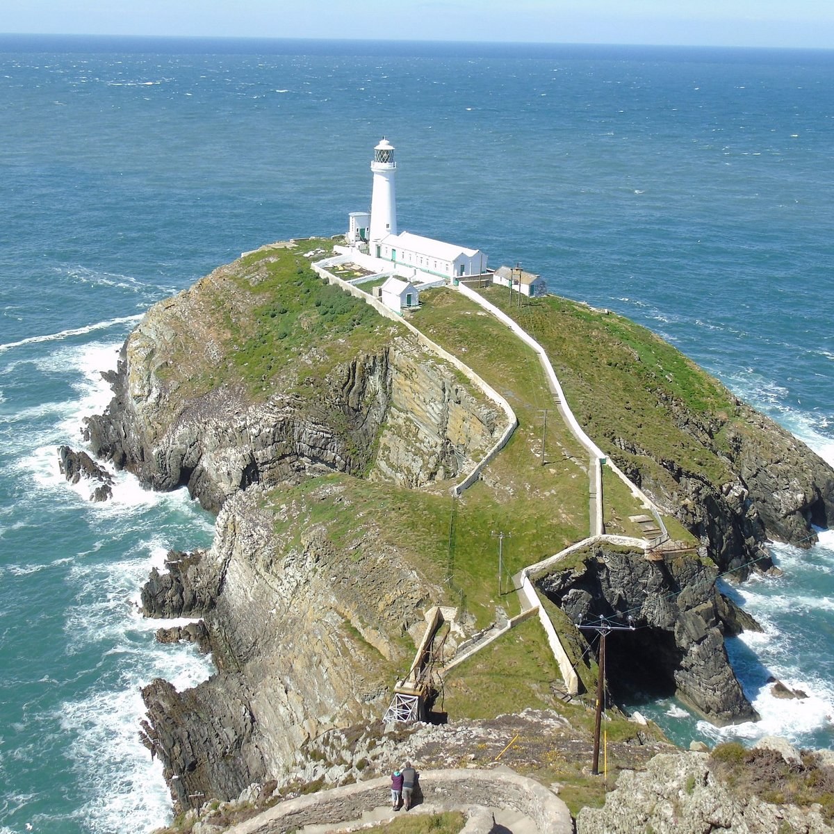 South Stack Lighthouse & RSPB Cliffs: Private Guided Walk
