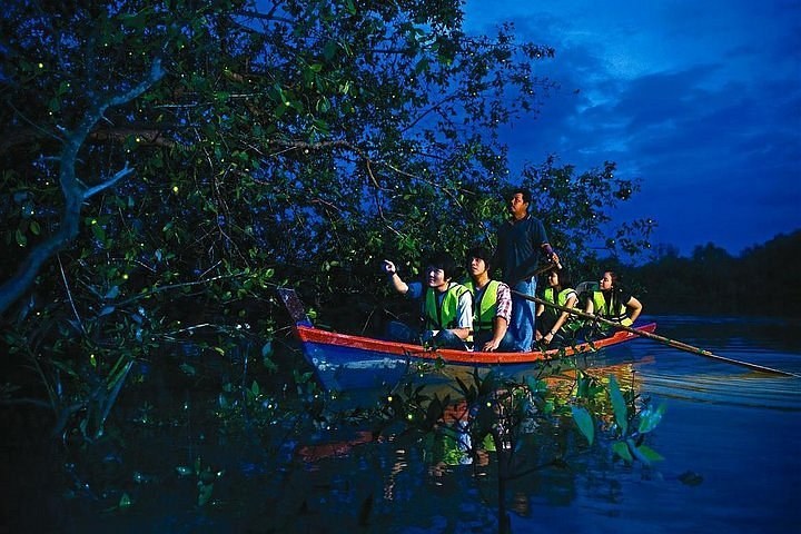Firefly Mangrove Cruise: Kuala Selangor at Dusk