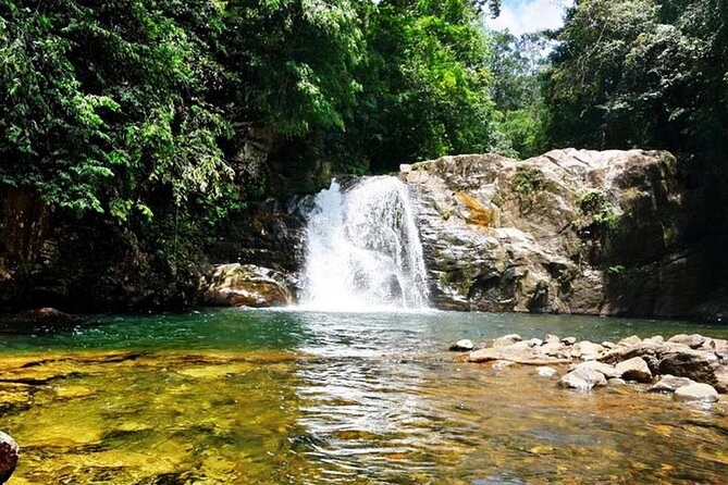 Sinharaja Rainforest Private Naturalist Expedition