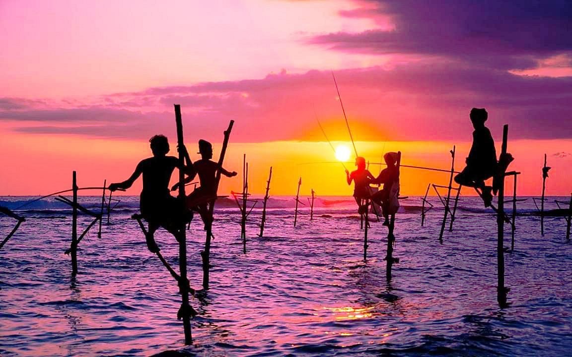 Stilt Fishermen of Koggala & Sea Turtle Hatchery Experience