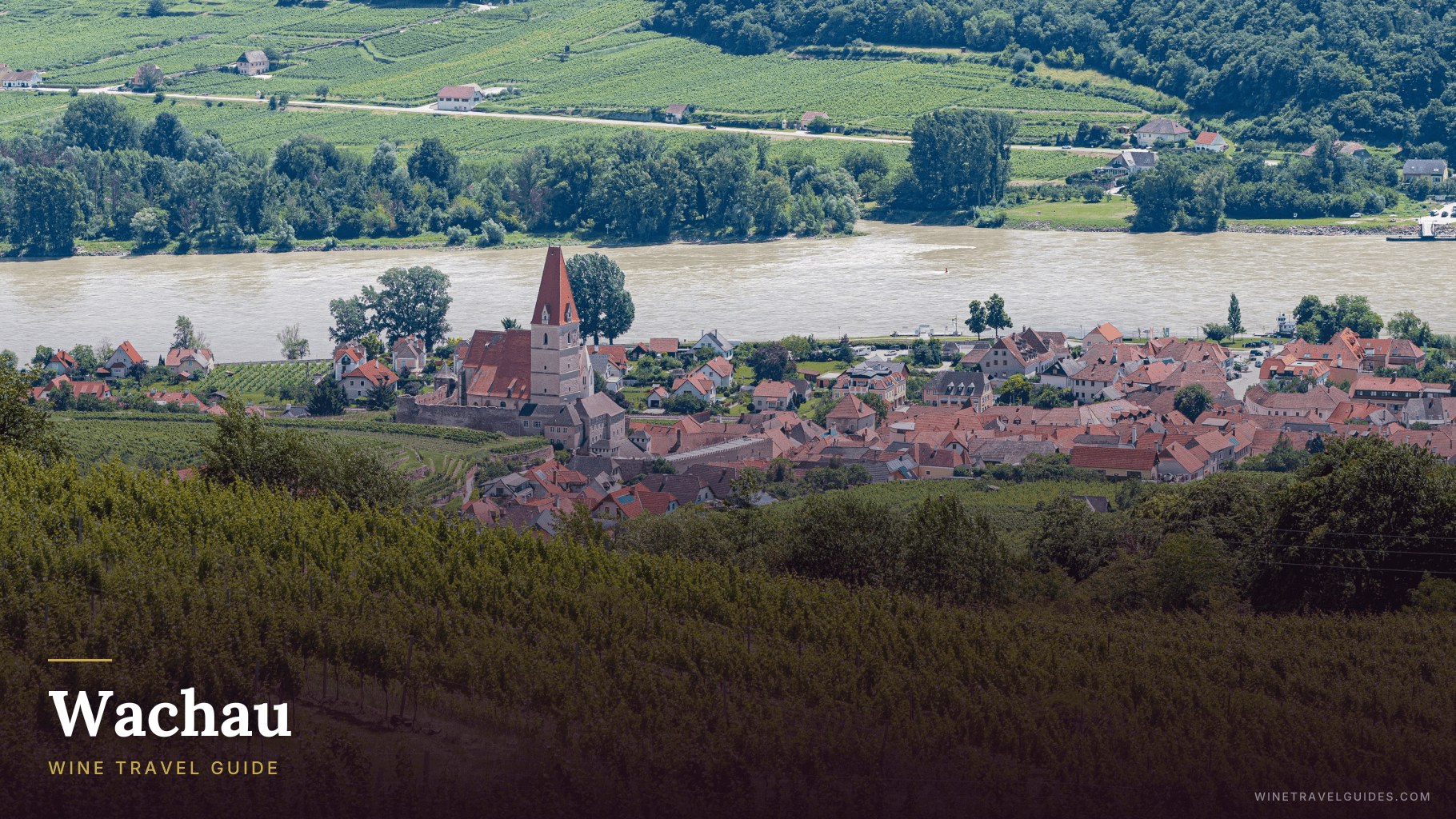 Wachau wine experience — Grüner Veltliner & Riesling at the source