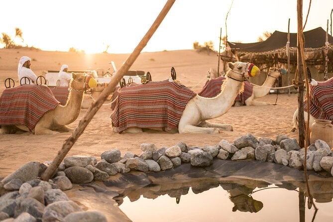 Private Dune Safari & Bedouin Dinner: Desert Conservation Reserve