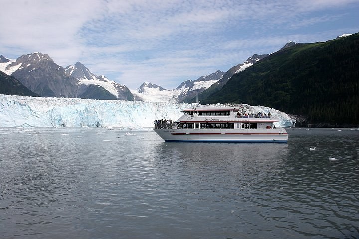 Meares Glacier Wildlife Cruise — Prince William Sound