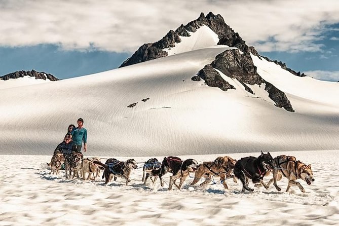Helicopter Glacier Dog-Sledding: Fly, Mush & Walk the Ice