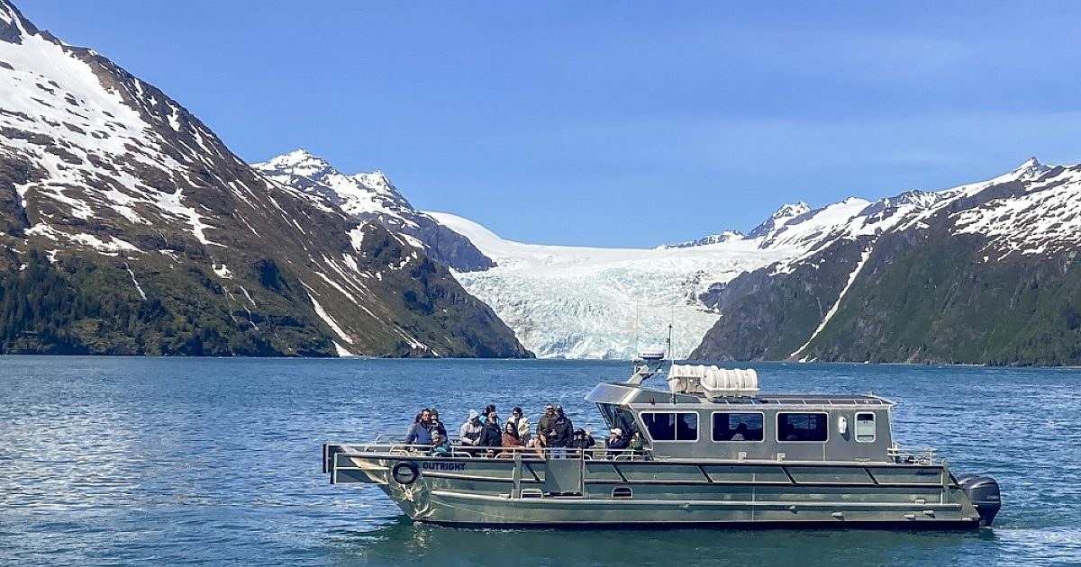 Small-Group Wildlife & Glacier Day Cruise — Seacor Tours