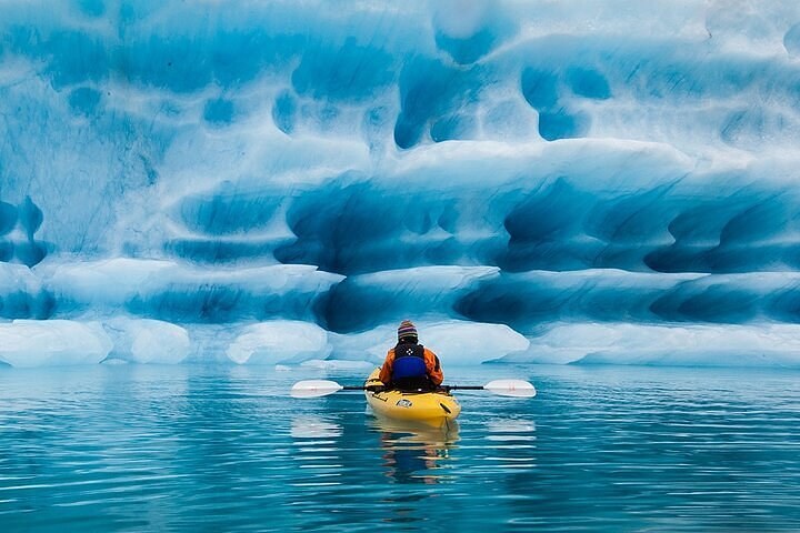 Bear Glacier Kayaking Expedition — Half or Full Day
