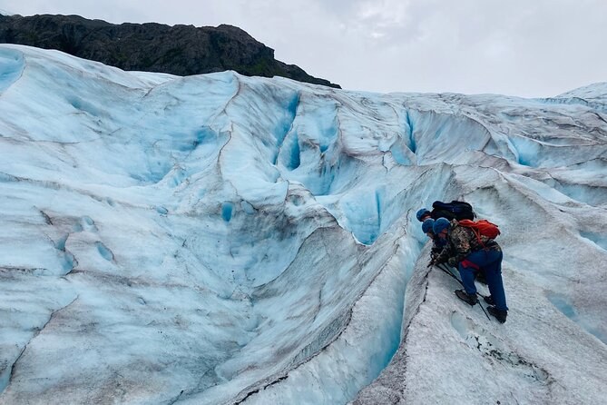 Exit Glacier Ice Hike & Kenai Fjords National Park Walk