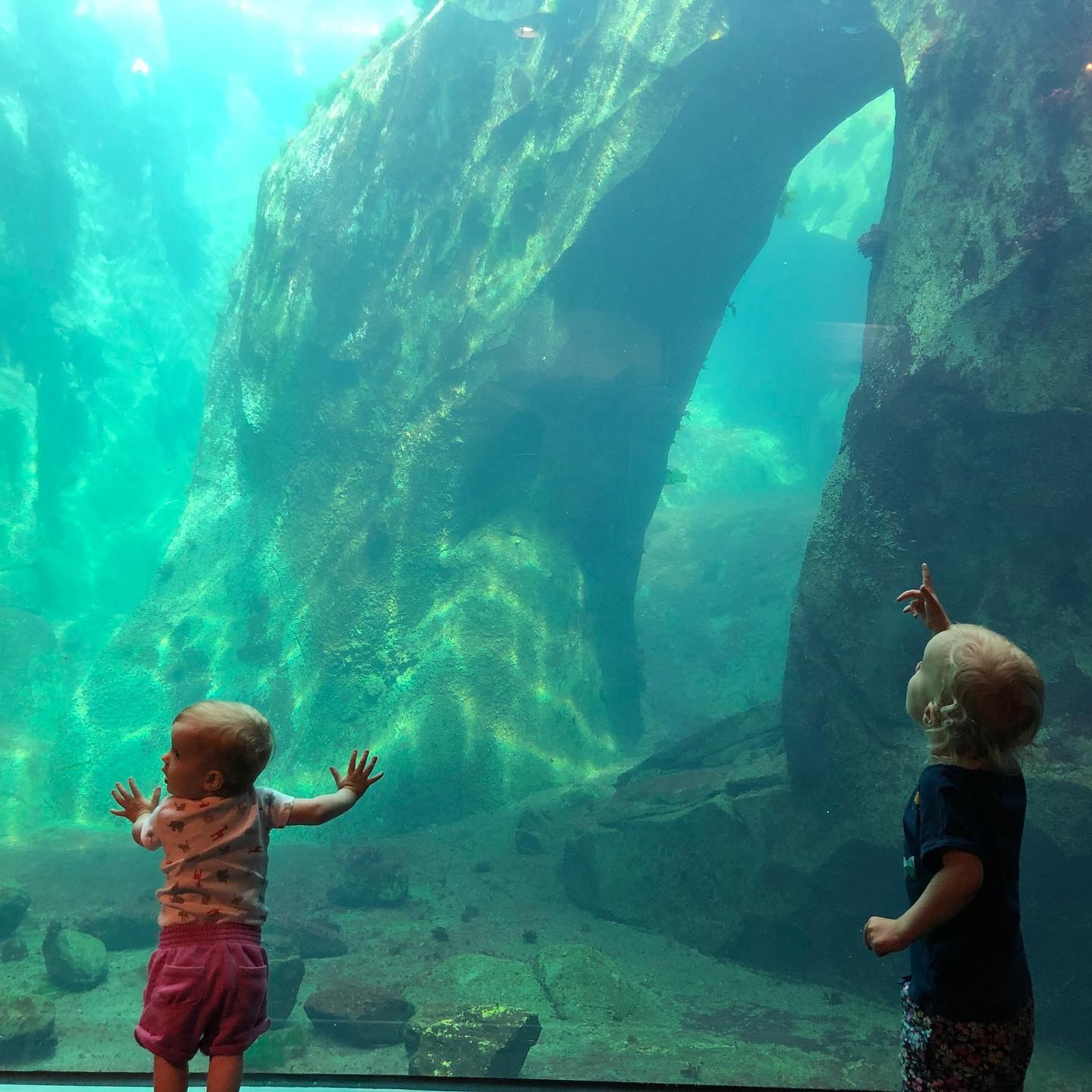 Alaska SeaLife Center: Behind-the-Scenes Private Encounter