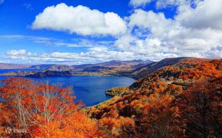 Oirase Gorge & Lake Towada: Private Chauffeured Forest Immersion