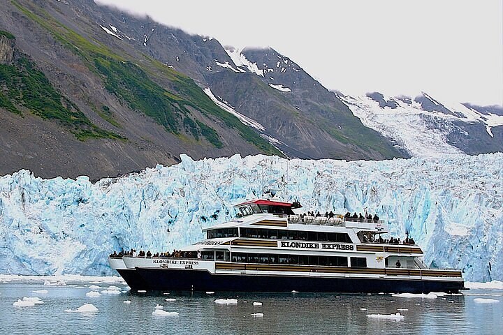 Prince William Sound Private Charter: Glaciers & Wildlife