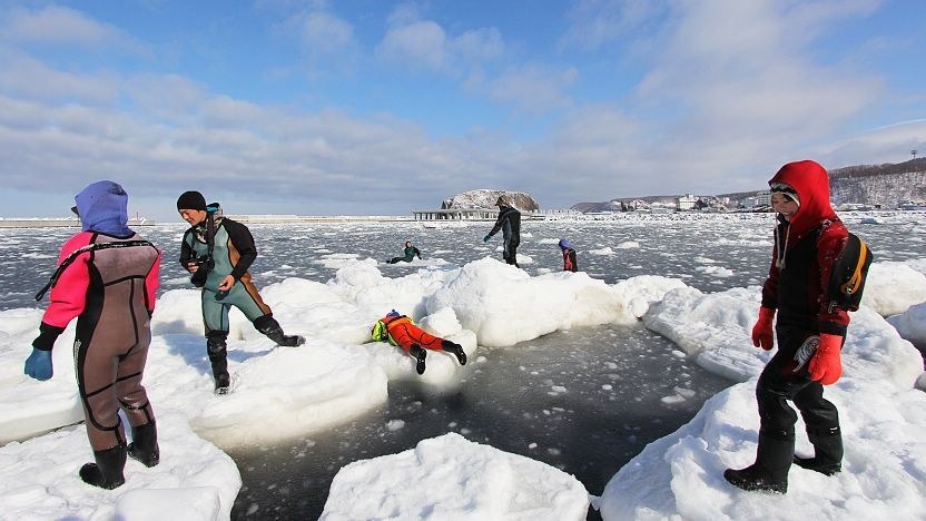 Hokkaido Drift Ice Walk: Frozen Sea of Okhotsk at Dawn