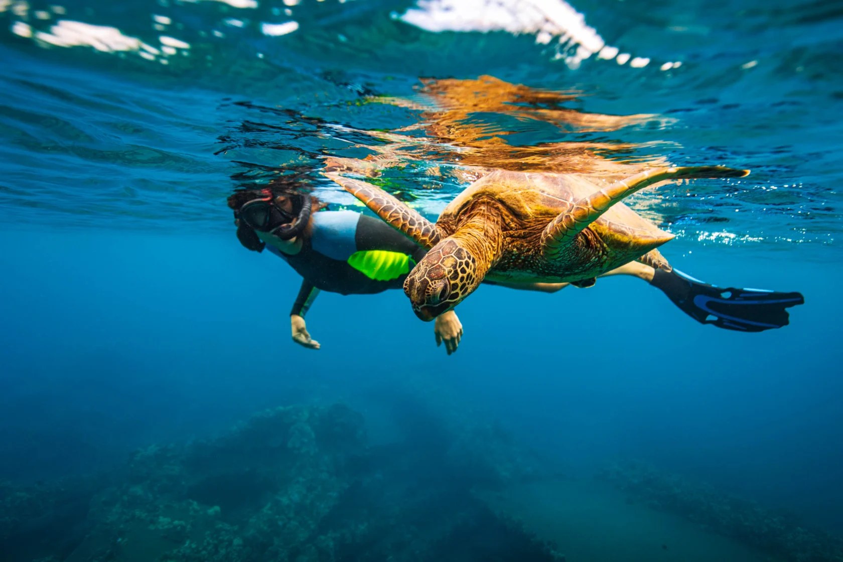 Galapagos-Style Snorkel Safari: Private Guided Pacific Reef Dive