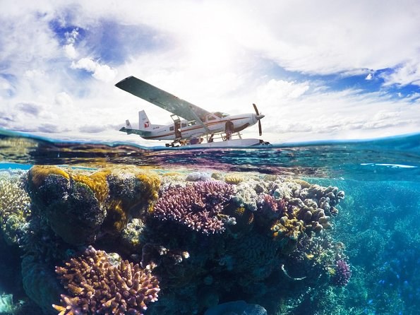 Panoramic Coastal Seaplane Flight: North Pacific from Above