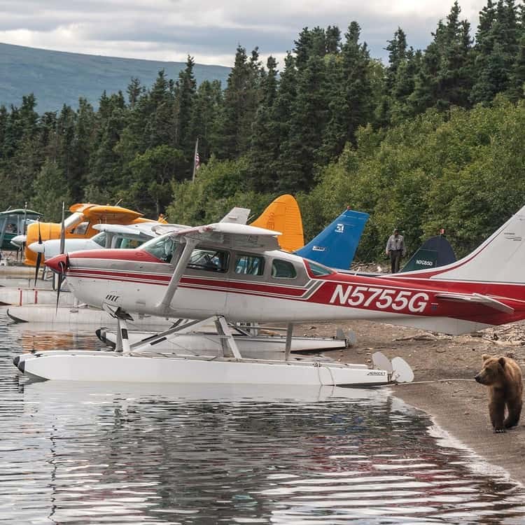 Brooks Falls Bear Viewing by Float Plane from Homer