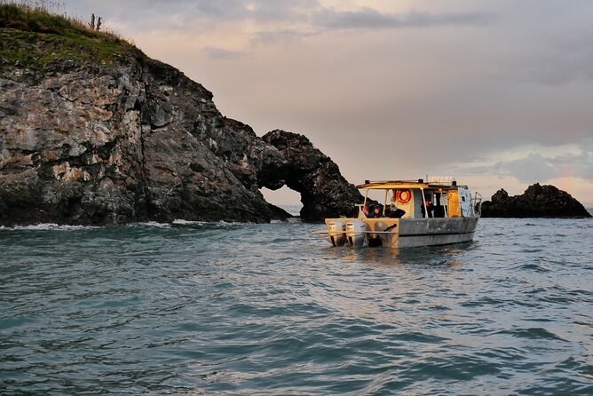 Kachemak Bay Wildlife Cruise — Gull Island & Beyond