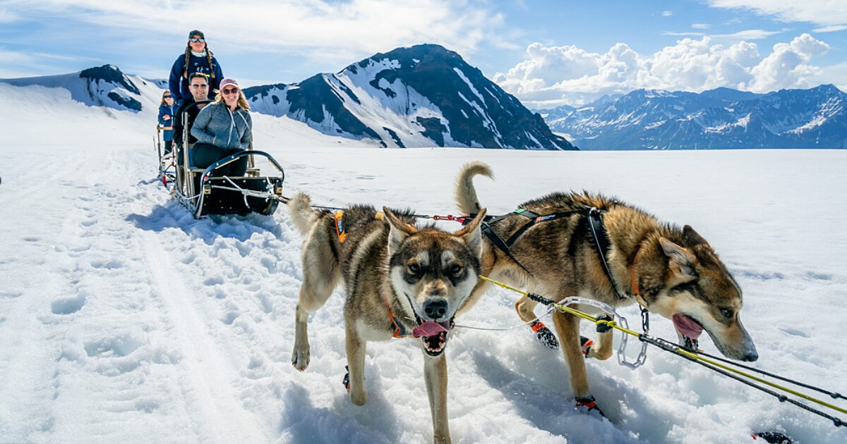Helicopter Glacier Landing & Dog Sledding on Ice