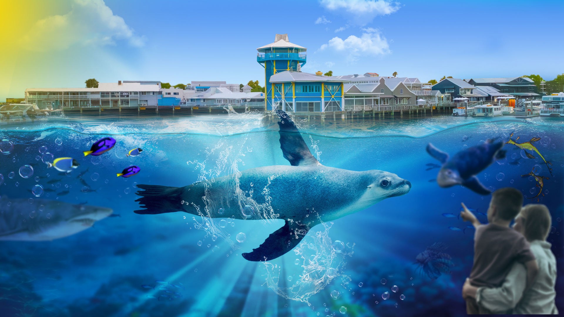 SEA LIFE Sunshine Coast: Premium Aquarium with Shark Dive