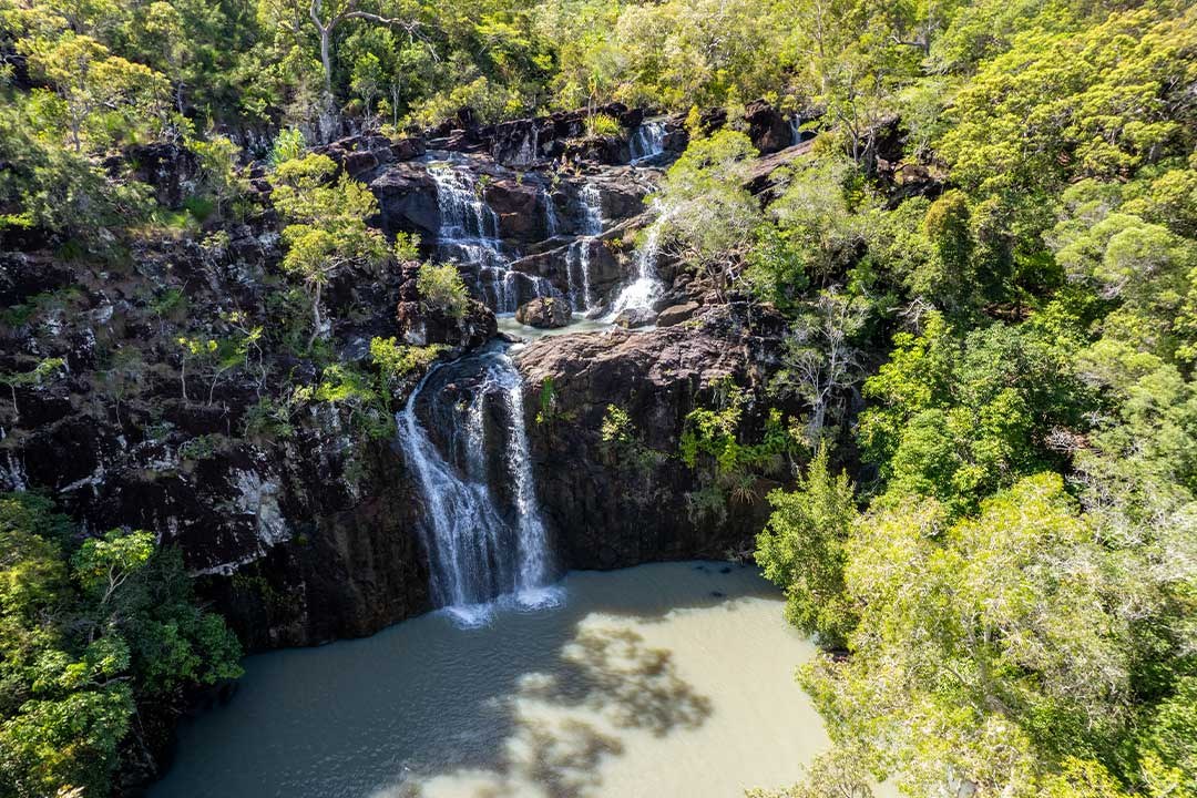 Driftwood Tours: Private Rainforest, Wildlife & Waterfall Hike