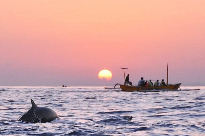 Dolphin Sunrise & Lovina Snorkel: The Classic North Bali Ocean Experience