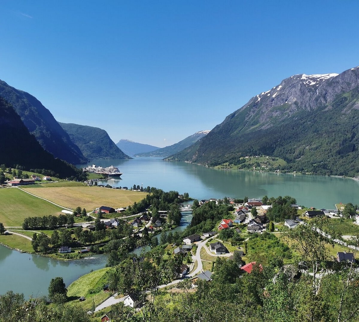 Skjolden Llama Trek: High-Valley Alpine Walk with Panoramic Views